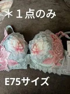 【新品タグ付き】 ワコール サルート 97グループ キャミソール Mサイズ WACOAL ワコール サルート17グループ キャミソール CTJ217