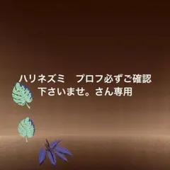2026年最新】プロフ確認お願いしますの人気アイテム - メルカリ