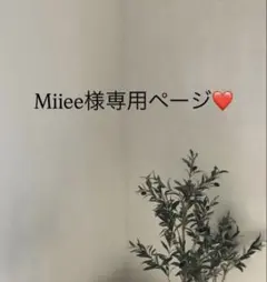 Miiee様専用ページ♡