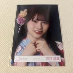 櫻坂46 生写真 2026年 浴衣 向井純葉 ヨリ - メルカリ