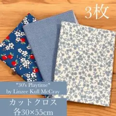 Item thumbnail for item 42ccfba3-ab19-4e96-b594-5673659b71cb