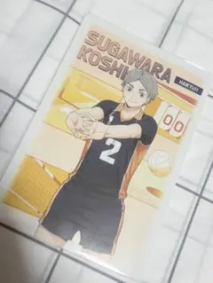 ハイキュー 菅原孝支 アニメイト特典 ポストカード