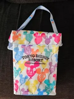 東京ディズニーリゾート ポップコーンバケット