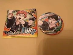 ハイキュー　影山飛雄