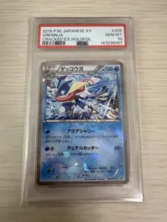 2026年最新】209/XY-P ゲッコウガの人気アイテム - メルカリ