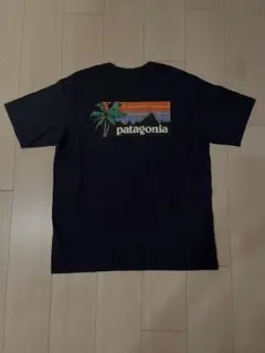 【パタゴニア】Patagonia ハワイ限定Tシャツ Mサイズ