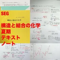 SEG クリーム本 文系Mクラス - メルカリ