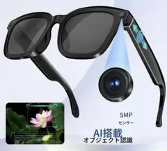 スマートグラス カメラ搭載 音声インタラクション対応 リアルタイム翻訳