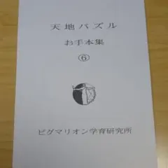 【匿名配送】ピグマリオン 天地パズル お手本集 ⑥