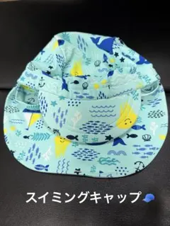 Item thumbnail for item 79773c11-820b-4252-8f8d-2a144065dd8d