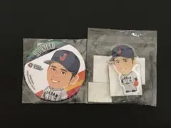 侍ジャパン 大谷翔平