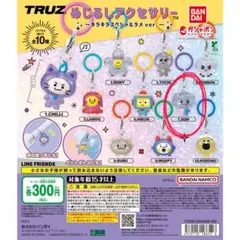 TRUZめじるしアクセサリー キラキラスペシャルラメver. SOM