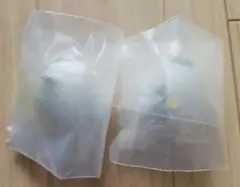 ハイキュー　おすわりちょこん2 ホシウミカモメ　２個セット