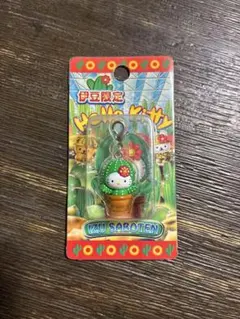 현지 키티 이즈 한정 선인장 키티