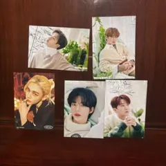 グループ写真セット9枚セット