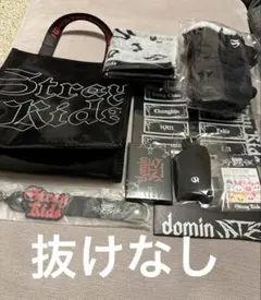 Stray Kids スキズ アプグレ グッズ　特典