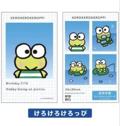 サンリオキャラクターズ シークレット証明写真風スマロイド けろけろけろっぴ