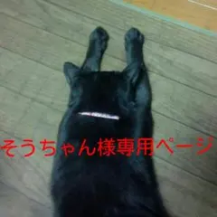 そうちゃん様専用ページ