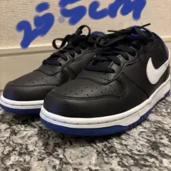 NIKE ビッグLOW 018BLK/SMTWHTのサムネイル