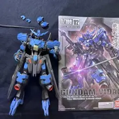HG ガンプラ ガンダムヴィダール