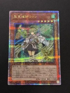 ドミニク様 リクエスト 2点 まとめ商品