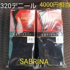 レディース タイツ 裏起毛 GUNZE サブリナ グンゼ SABRINA 黒