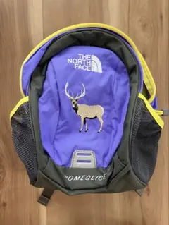 美品　ザ・ノース・フェイス キッズ ホームスライス