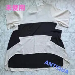 未使用　ANTIQUA　ボーダーチュニックのサムネイル