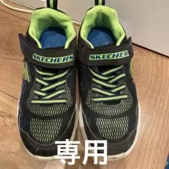 専用　スケッチャーズ　20cm
