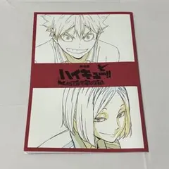【 現品限り 】 劇場版 ハイキュー ゴミ捨て場の決戦 入場者特典 日向翔陽