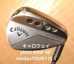 2026年最新】Jaws raw 48の人気アイテム - メルカリ