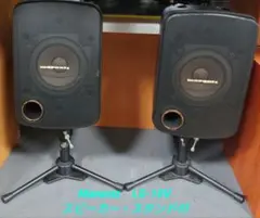 RASTEME RSDA-202 デジタルステレオアンプ 通電確認済 RASTEME RSDA-202 デジタルステレオアンプ 通電確認済 - メルカリ