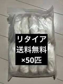 Item thumbnail for item d15c22d6-0d26-4260-8f9a-d3936629017e