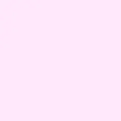 2026年最新】crazy raccoon vanillaの人気アイテム - メルカリ