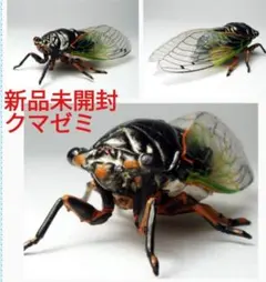 Item thumbnail for item e4496074-bada-44ba-b4c5-d8905686973f