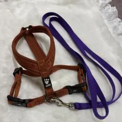 フルッタ　ハーネス　リード　セット　反射のサムネイル