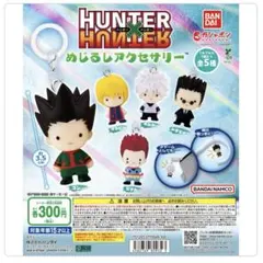 HUNTER×HUNTER めじるしアクセサリー　5種コンプリート