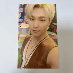 ディDINO SEVENTEENTH  HEAVEN ユニバ特典トレカ