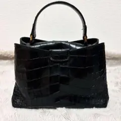 ジャンニキャリーニ クロコ型押し レザー ハンドバッグ ショルダー2本付き 黒