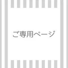 専用出品