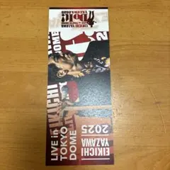 矢沢永吉 ミュージシャン