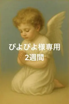 ぴよぴよ様専用