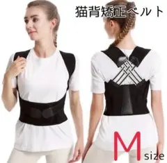 Item thumbnail for item eee6c0b7-e566-4119-961a-54d8ffe998d3