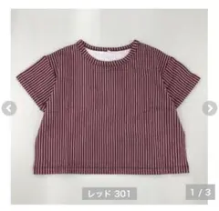 AI ARAI 半袖Tシャツ