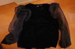 ZARA 黒 ベルベット パフスリーブ トップス