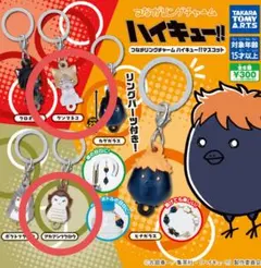 つながリングチャーム ハイキュー!!マスコット ケンマネコ、アカアシフクロウ