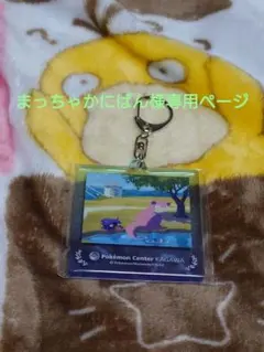 ポケモンセンターKAGAWA (まっちゃかにぱん様専用ページ)