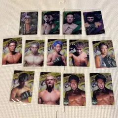 RIZINウエハース 13枚セット