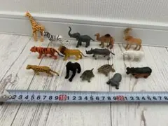 動物 アニマル フィギュア １５体セット
