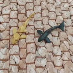 魚の置き物2点セット